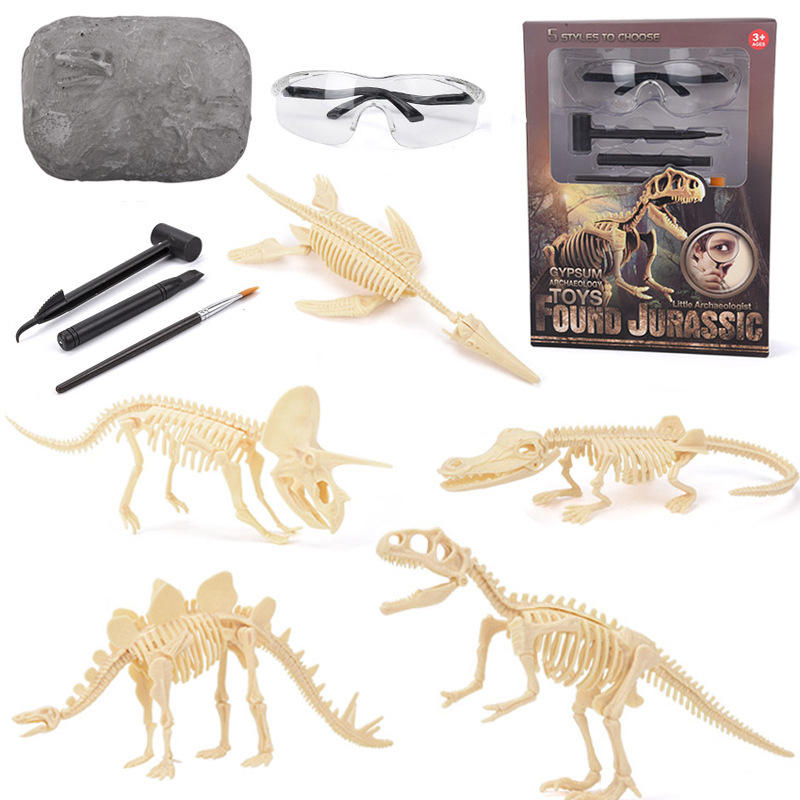 Science Toy - Kit d'excavation de fossiles de dinosaures