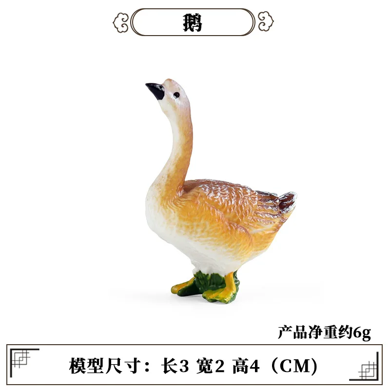 Science Toy - Outil d'enseignement éducatif, Mini modèle d'animal
