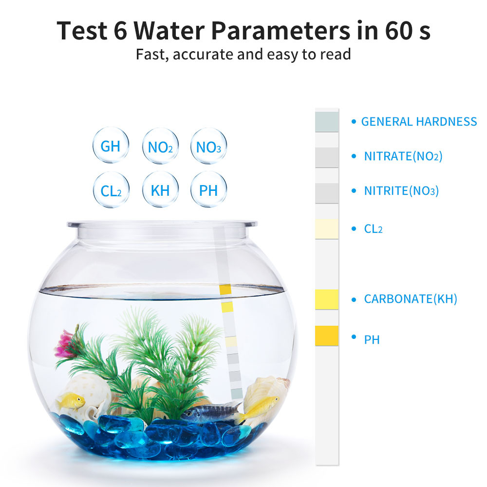Bandelettes de Test de Qualité - Ph Strip Test avis et prix