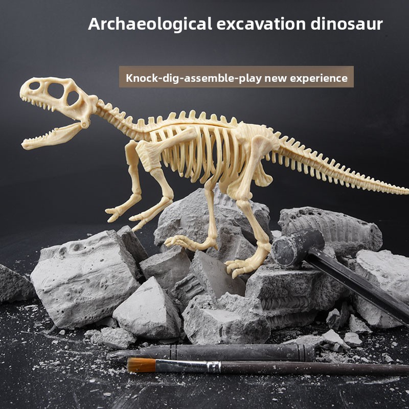 Kit d'excavation de fossiles d - Science Toy avis et prix