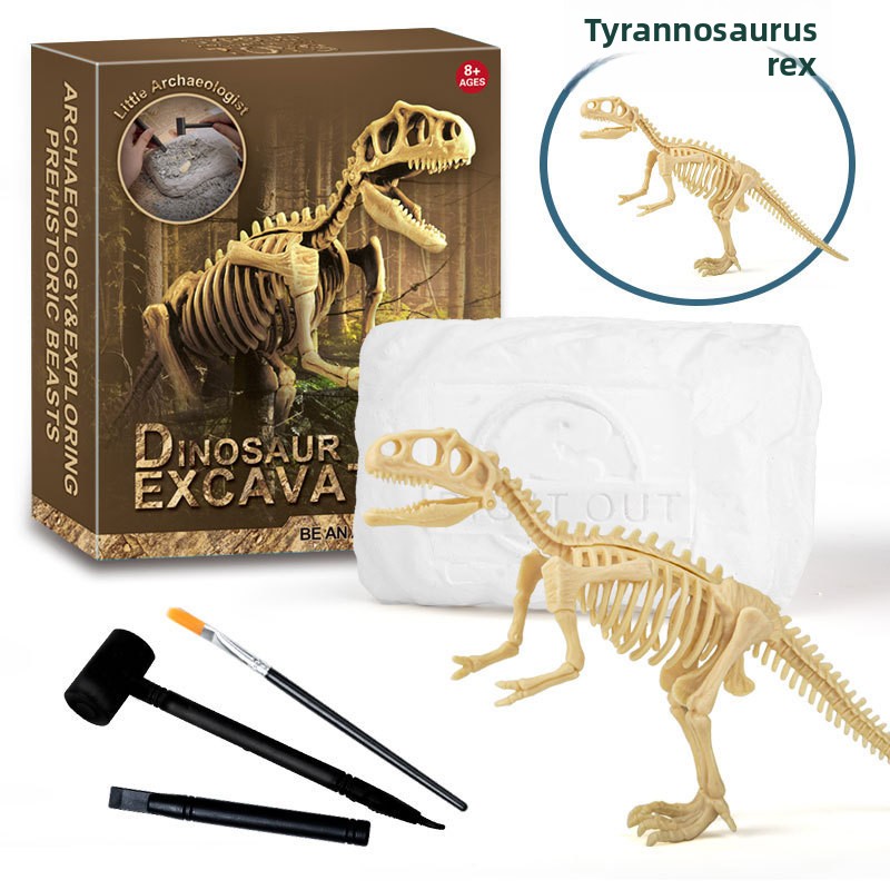 Kit d'excavation de fossiles d - Science Toy avis et prix