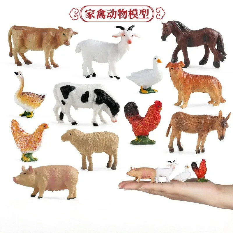 Outil d'enseignement éducatif, - Science Toy avis et prix